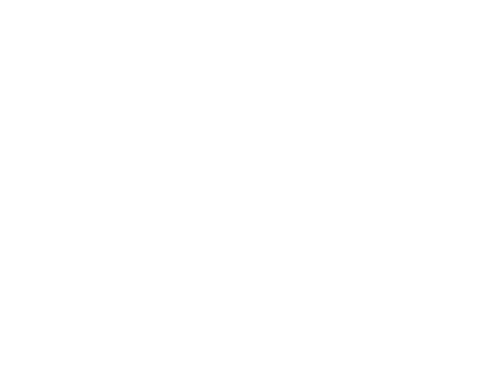PIOLET